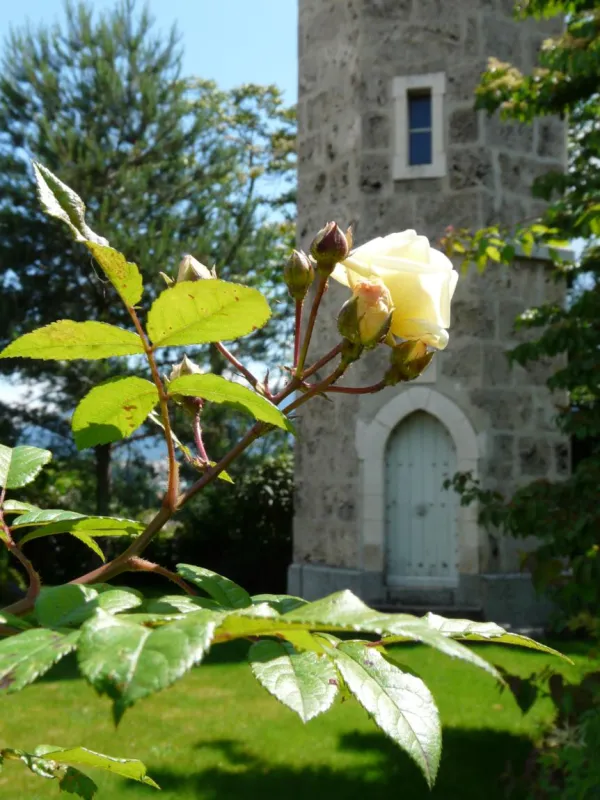 Roseraie du Pavillon