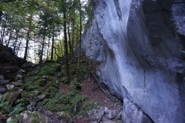 Les Gorges des Tines