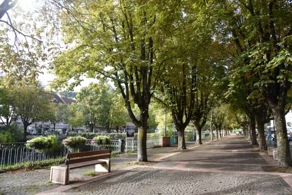 les quais de la Sallanche