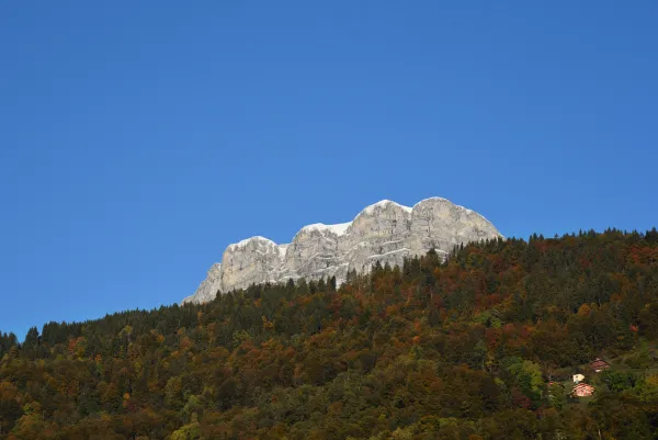 Quatre têtes à l'automne