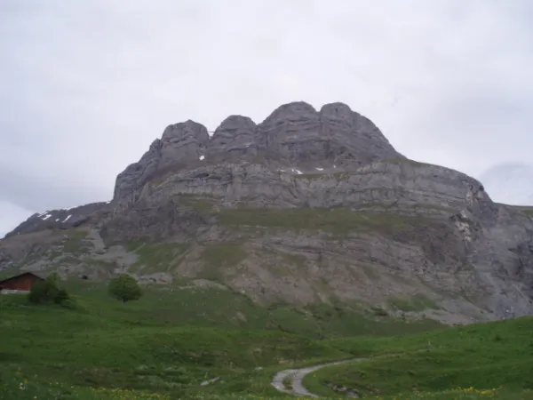 Les Quatre Têtes