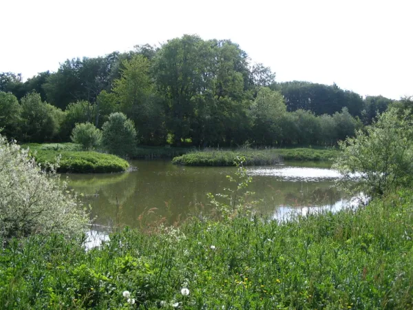 L'Etang du Marquis