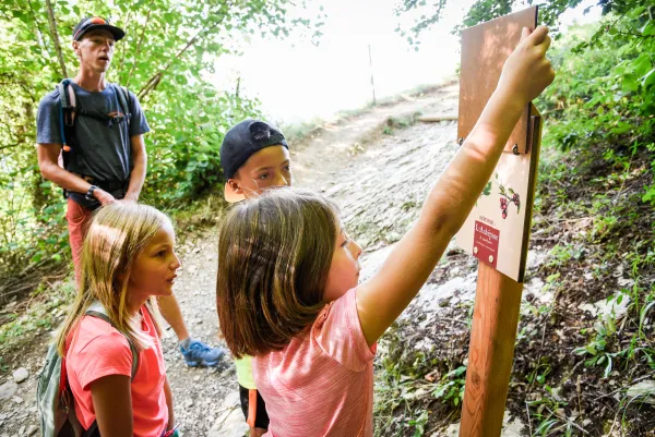 Randonnée enfants au sentier de la forêt