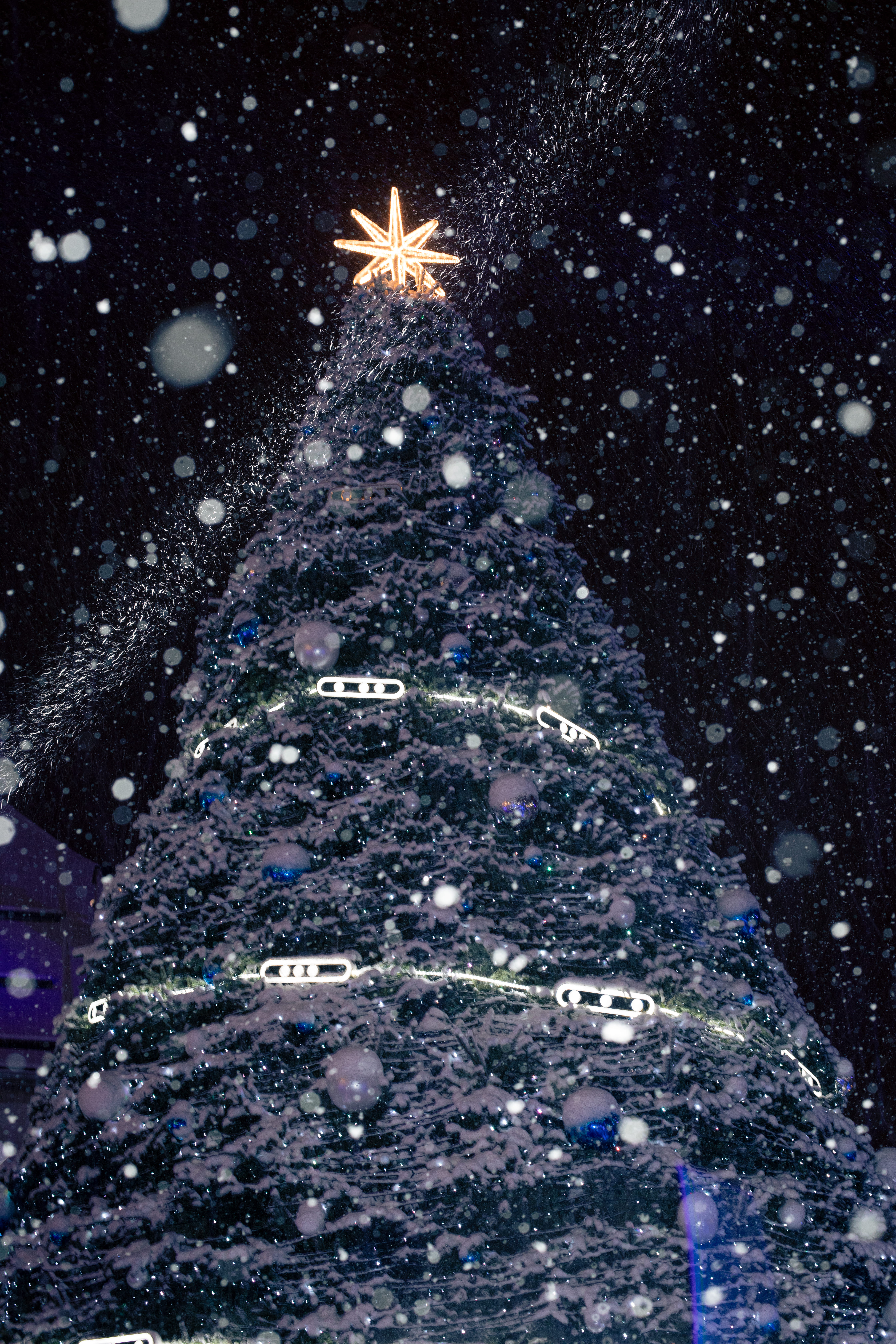 L'Illumination du Sapin_Megève