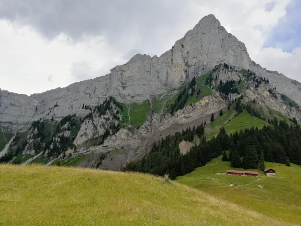sentier VTT : l'alpage de Véran