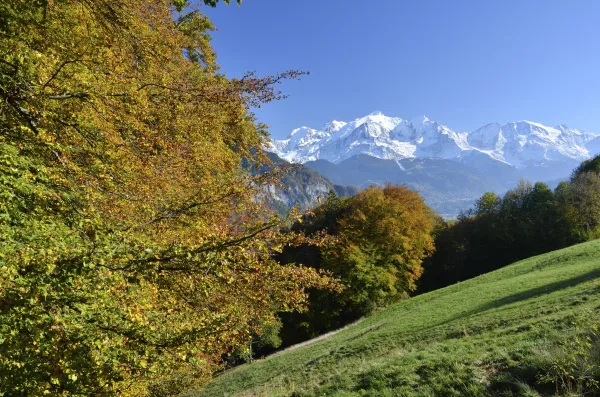 Sentier pédestre : le Bois de Fessy