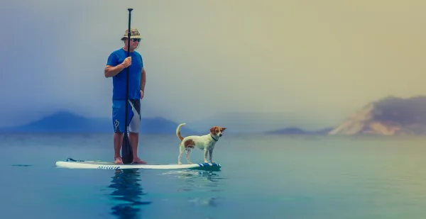 Location de paddle tandem : 1H