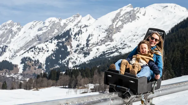 Luge des Bois