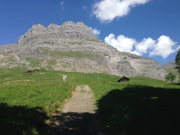 sentier pédestre : les Quatre Têtes par Doran (2364 m)
