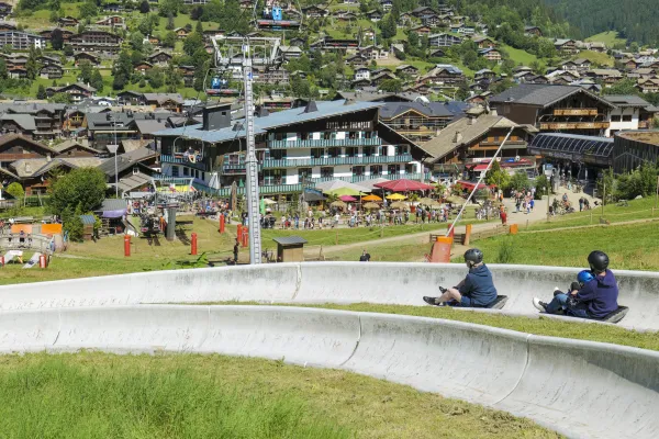 Luge d'été