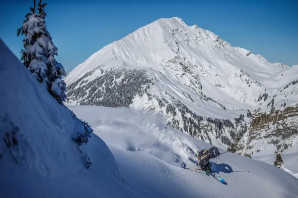 Sessions freeride