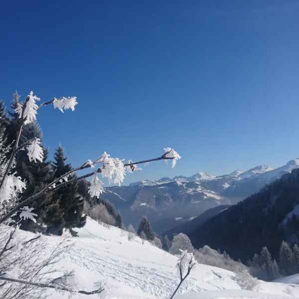Magical Snow Treks