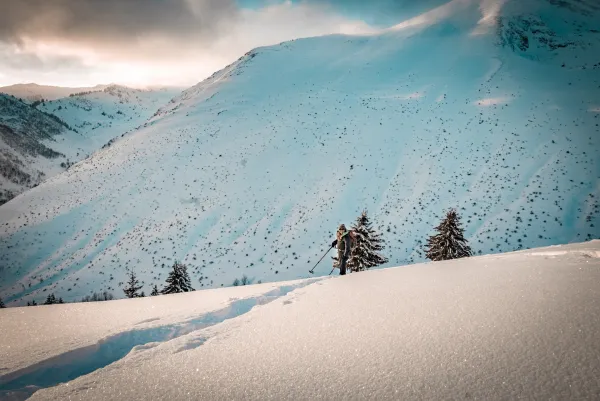 Paysage