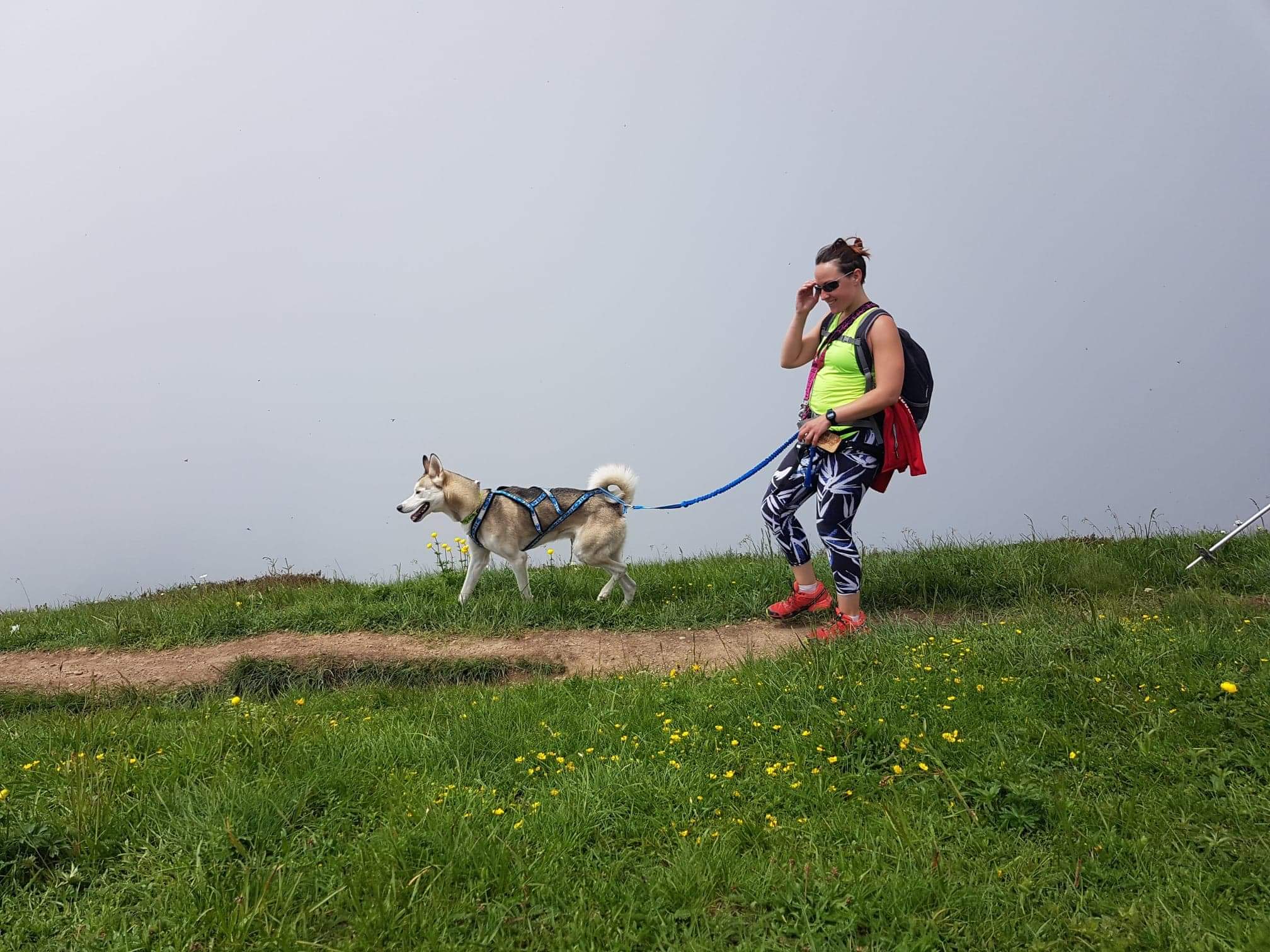 Sortie découverte : Cani-rando à Eteaux