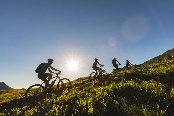 Sortie privatisée : VTT ou VTT électrique