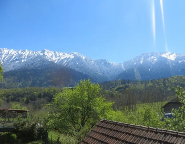 Vue montagne