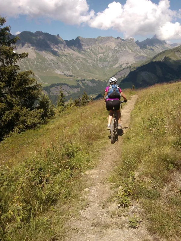 VTT Electrique avec un Moniteur