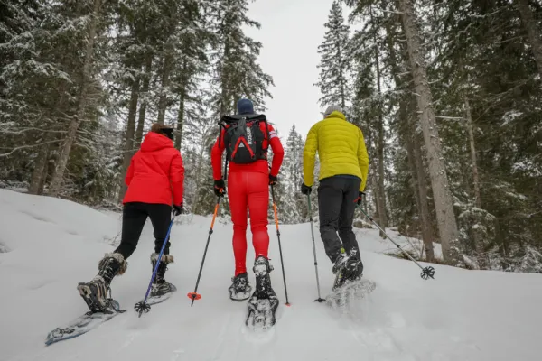 Sortie raquettes à neige