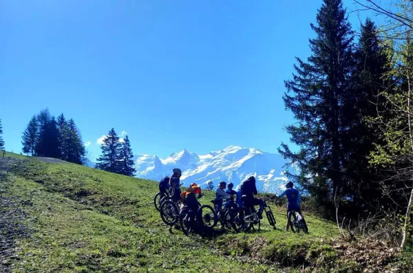 VTT