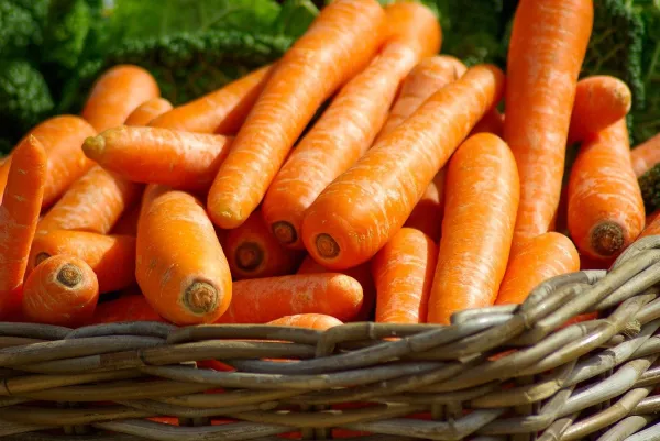 Marché de producteurs à Moye