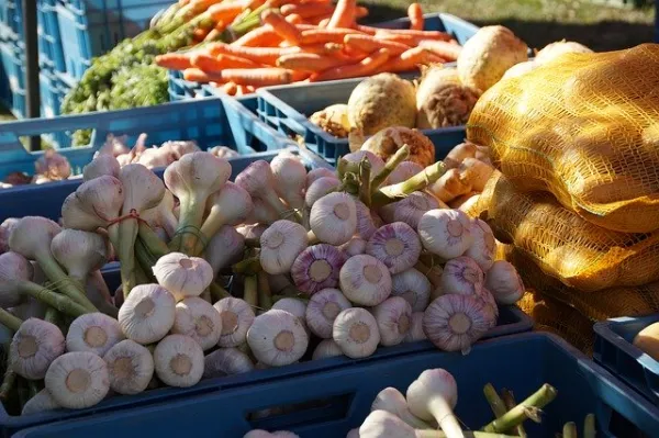 Marché de Vaulx