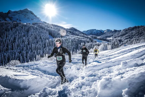 Spartan race