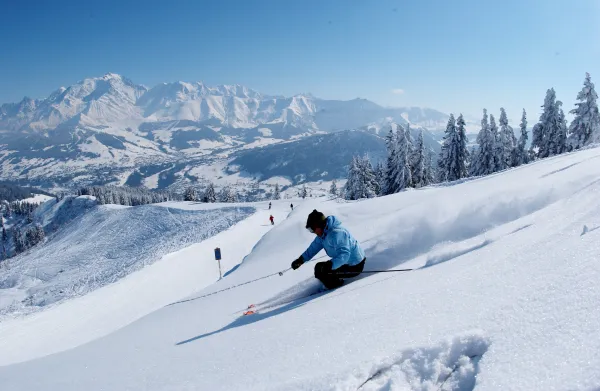 skieur_poudreuse