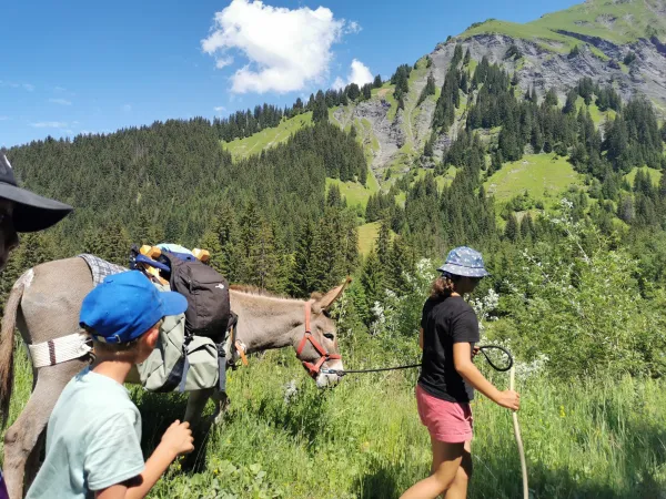 Rando-anes-megeve