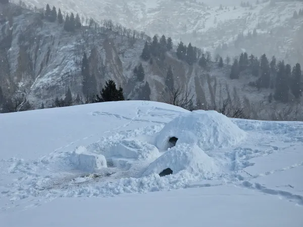 construction d'igloos