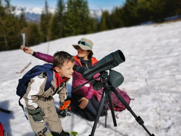 Observation-chamois-megeve