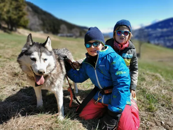 Cani-rando-megeve-trappeurs