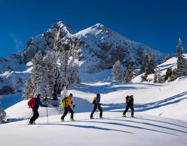 Montagne Sensation - Office de guides