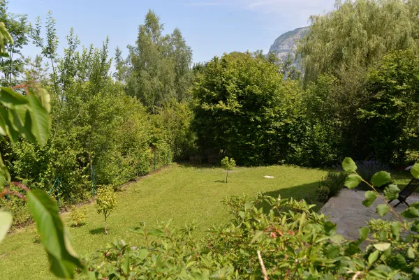 Jardin