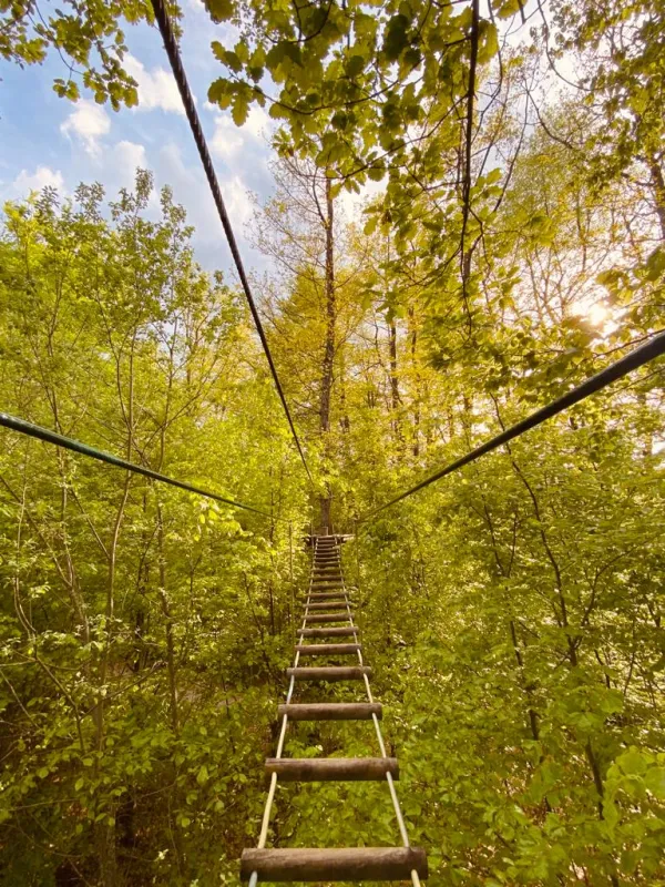 Parcours Vertige