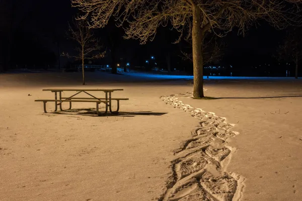 Nocturne en raquette et repas savoyard