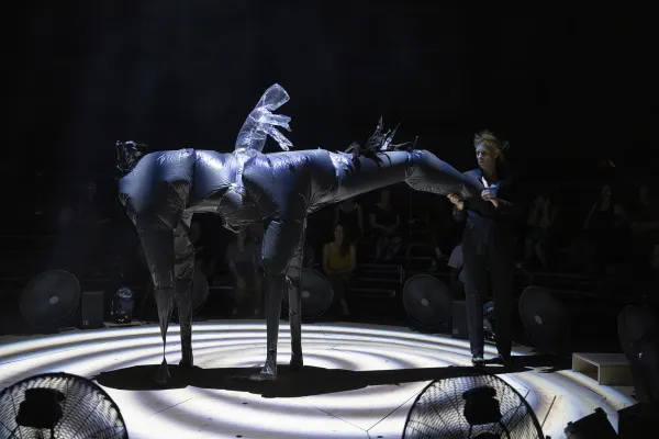 Nocturne (Parade) - Compagnie Non Nova – Phia Ménard