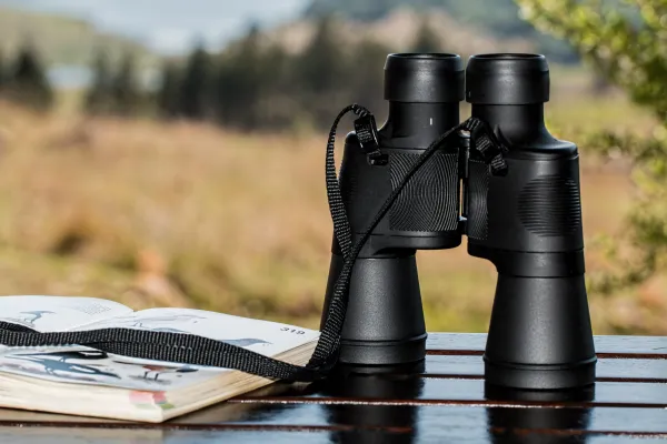 Observation et photographie de la faune des montagnes