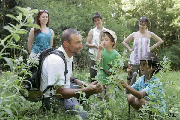 Terroir & Nature