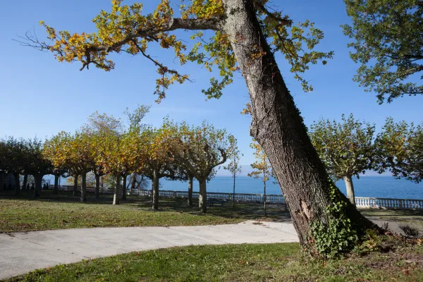 Parc de Corzent