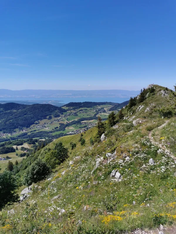 Rando crêtes d'Hirmentaz