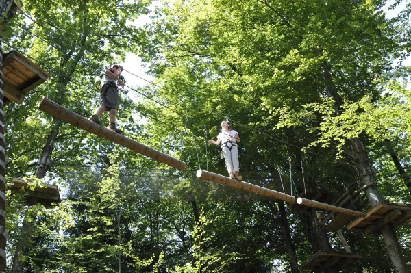 Parcours accrobranche