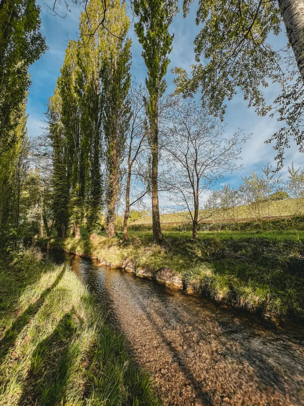 Parc des Îles du Foron