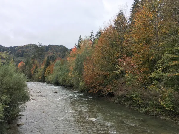 Parcours pêche Le Foron de Taninges