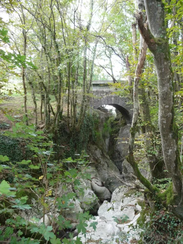 Torrent Le Fornant