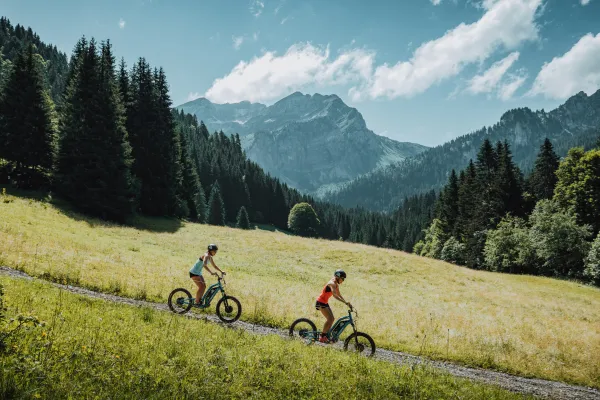 Trottinette Electrique "Découverte des Alpages et du Lac de Vallon"
