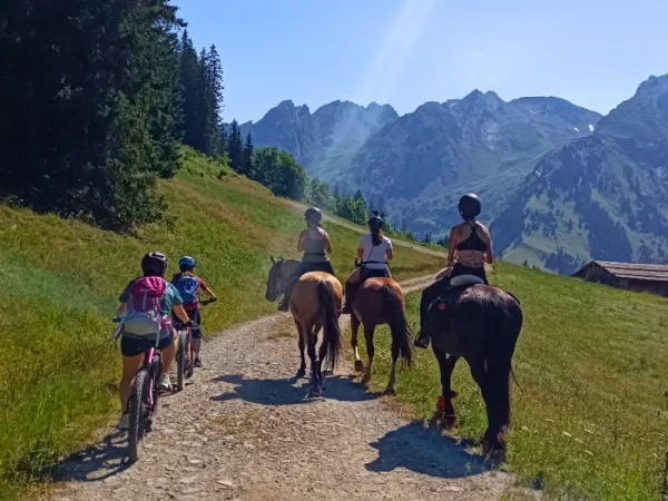 Trek Duo Passion VTTae et Equitation dans les Aravis