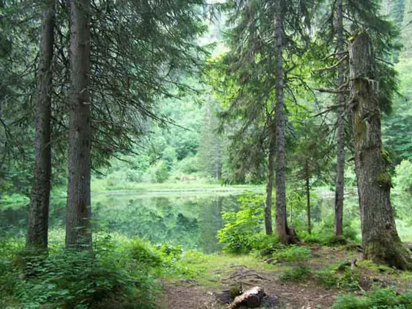 Pêche au lac de Petétoz