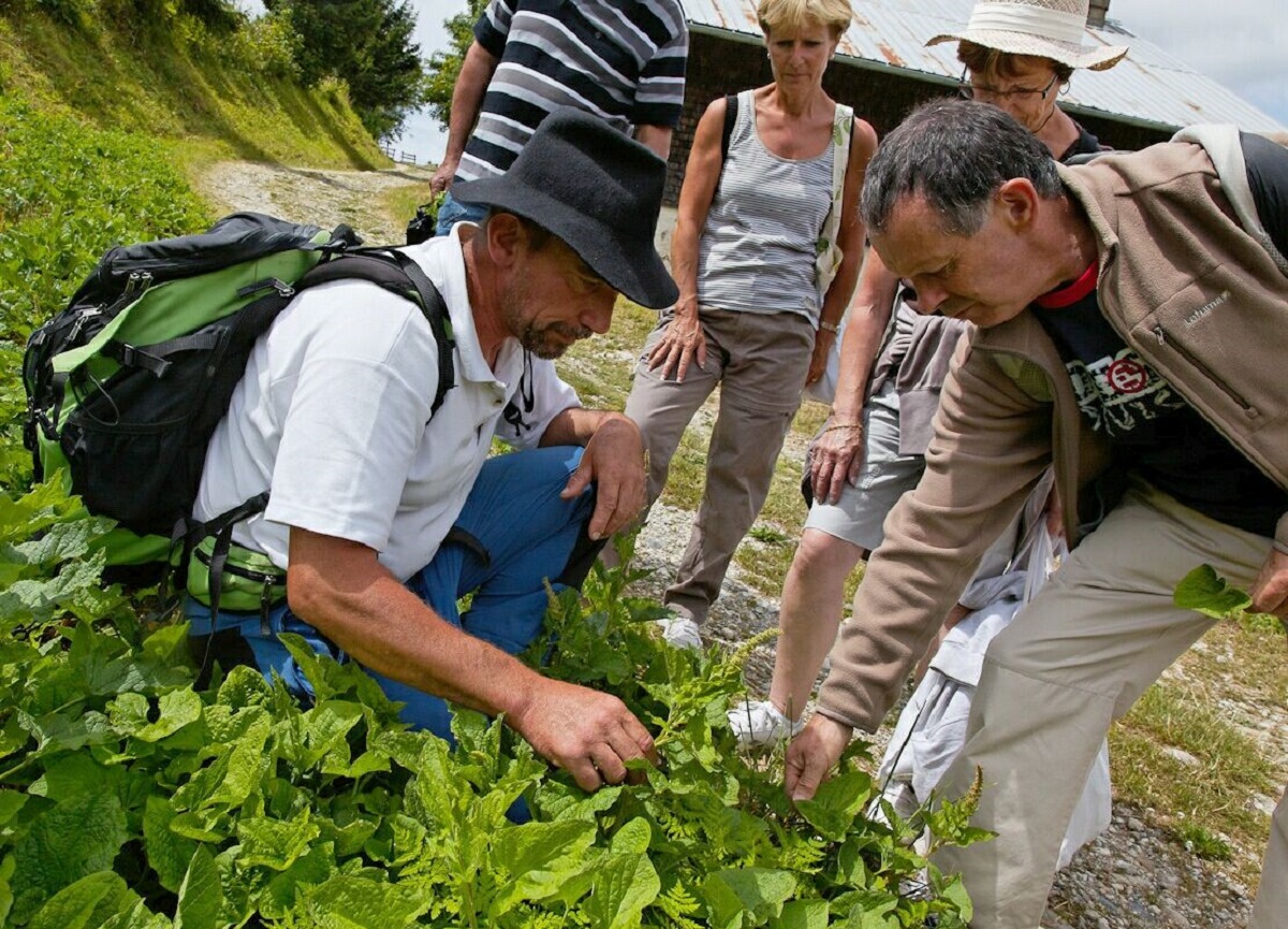 Patrick Loste - Acc. en Montagne - Alpnature à Saxel