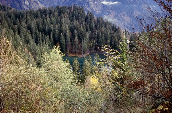Pêche au Lac Vert