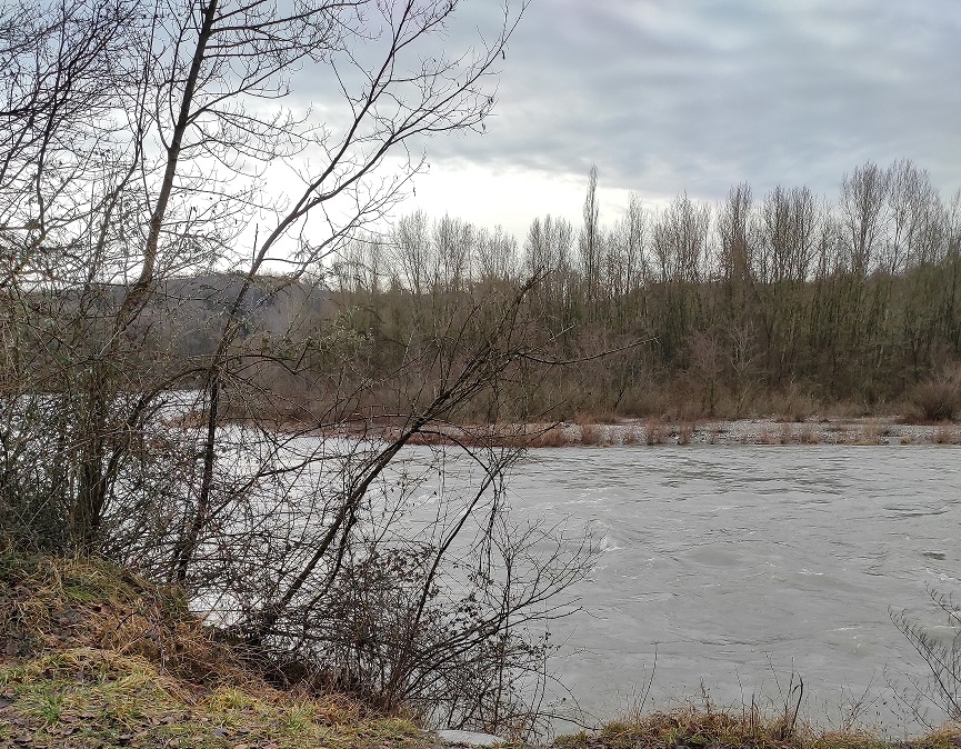 Bord de l'arve